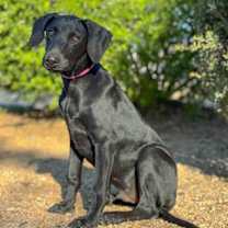 Thumbnail photo of Haven #4