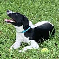 Thumbnail photo of Luna #1