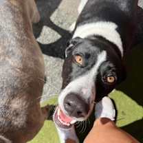 Thumbnail photo of Luna #3