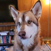 Thumbnail photo of Theo #1