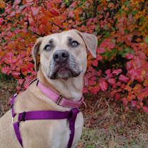 Thumbnail photo of Kenna #1