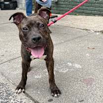 Thumbnail photo of Mulan #4