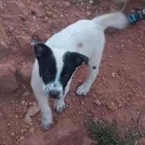 Thumbnail photo of Mac #3