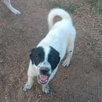 Thumbnail photo of Mac #1