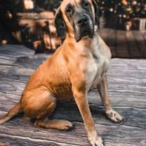 Thumbnail photo of Love #1