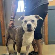 Thumbnail photo of Athena Grace #3