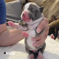 Thumbnail photo of Andy JuM #2