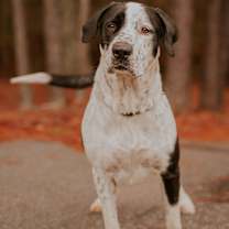 Thumbnail photo of 25-11-3201 Sweetie #1