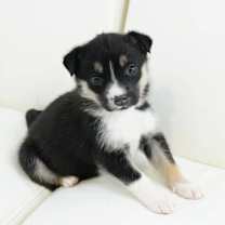 Thumbnail photo of Celine #1