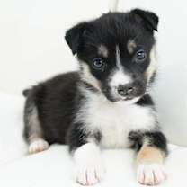 Thumbnail photo of Celine #2