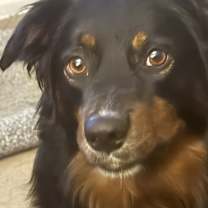 Thumbnail photo of Katie #1