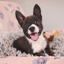 Thumbnail photo of Madeline #4