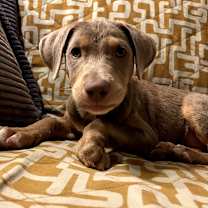 Thumbnail photo of Nellie #3