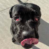 Thumbnail photo of Blue #2