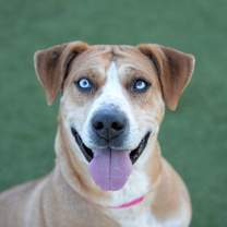 Thumbnail photo of Sky (S25-271) #1