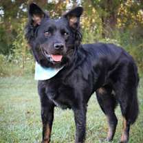 Thumbnail photo of Katy #2