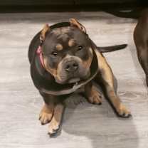 Thumbnail photo of Tink #1