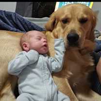 Thumbnail photo of Junior #1