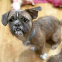 Thumbnail photo of Quincy #4