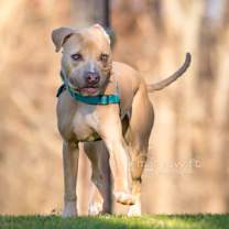 Thumbnail photo of River #2