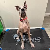 Thumbnail photo of Regan #2