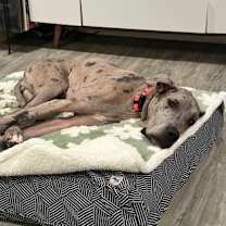 Thumbnail photo of Regan #3