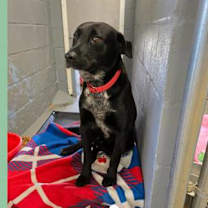 Thumbnail photo of Nike #1