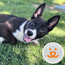 Thumbnail photo of Madeline #1