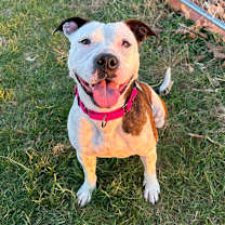 Thumbnail photo of Rory #1