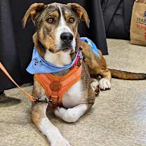 Thumbnail photo of Woody #1