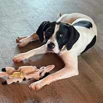 Thumbnail photo of Lucy #1