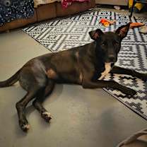 Thumbnail photo of Nelly #2