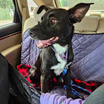 Thumbnail photo of Nelly #4