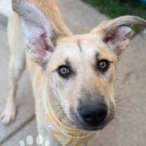 Thumbnail photo of Bubbie #2