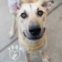 Thumbnail photo of Bubbie #3