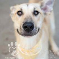 Thumbnail photo of Bubbie #4