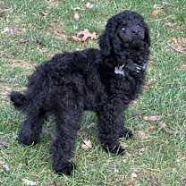 Thumbnail photo of HeyU (PA) LOVES Toys! #1