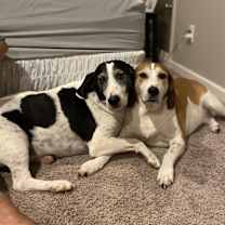 Thumbnail photo of Charlie #2