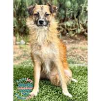 Thumbnail photo of Winston HB #1