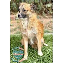 Thumbnail photo of Winston HB #2