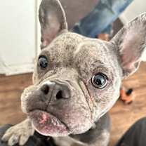 Thumbnail photo of Miyoko #2