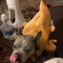 Thumbnail photo of Miyoko #3