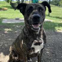 Thumbnail photo of Neiko #1