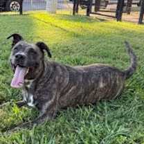 Thumbnail photo of Neiko #3