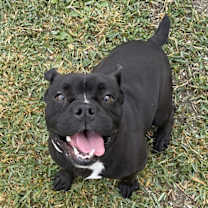 Thumbnail photo of CAROL #2