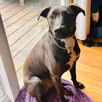 Thumbnail photo of Chase #1