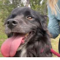 Thumbnail photo of Garnet #3