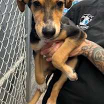 Thumbnail photo of Clyde #4