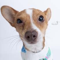 Thumbnail photo of Charlie #3