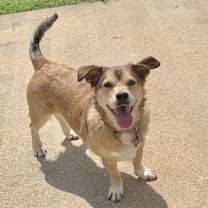 Thumbnail photo of Bella #1